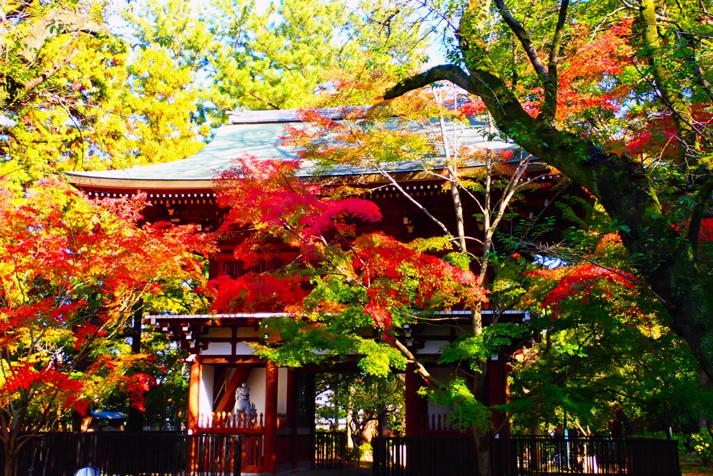 古刹の紅葉④