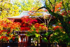 古刹の紅葉④