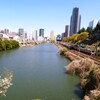 外濠の桜