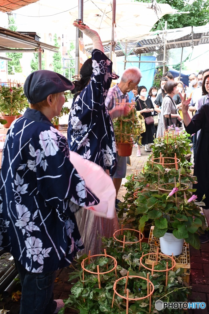 夏の風物詩①