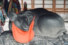 牛嶋神社　撫で牛