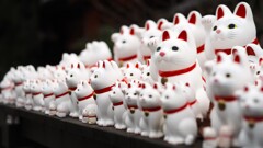 招福猫児①ｰ2
