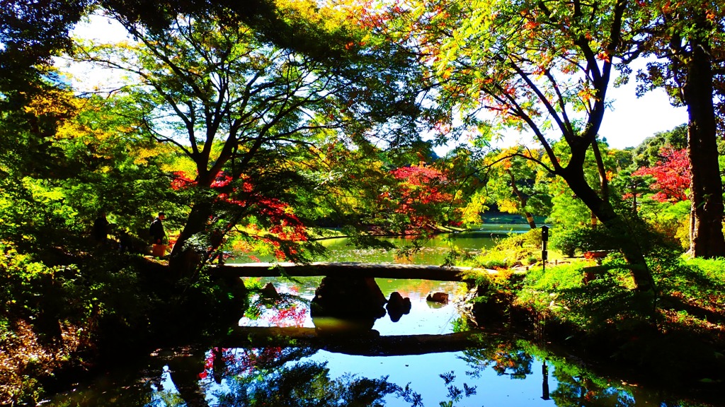 秋の庭園③