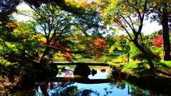 秋の庭園③