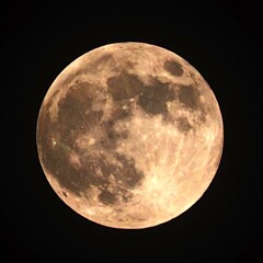 2024年で最も大きく見える満月