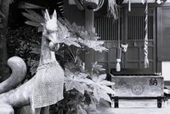 王子の狐②