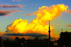 晩夏夕照②