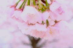 Spring color