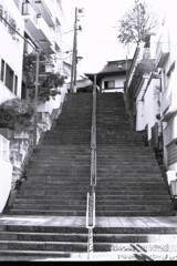 江戸総鎮守 神田神社(神田明神 男坂) ･film①
