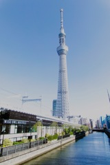 水辺のある風景
