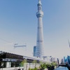 水辺のある風景