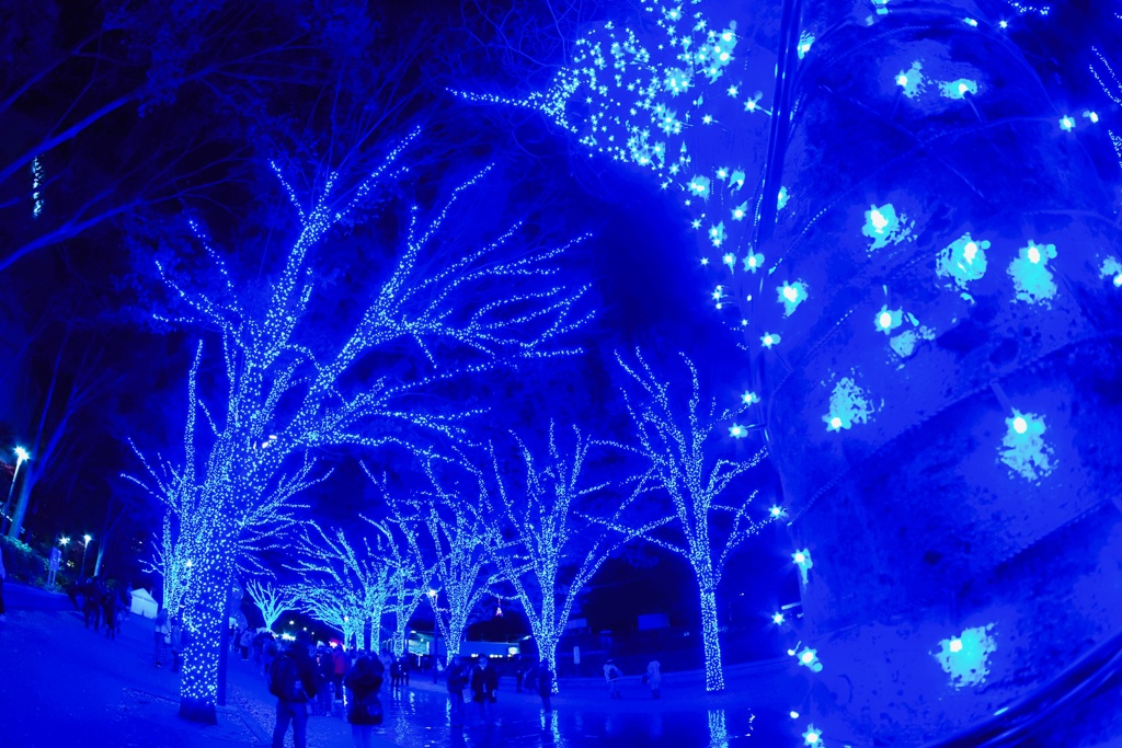 青の洞窟SHIBUYA2025③