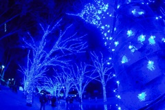 青の洞窟SHIBUYA2025③