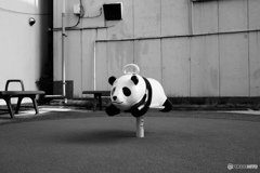ぽつりと…