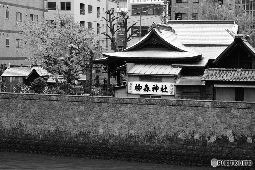 江戸三森