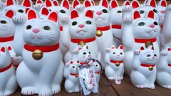 奉納招福猫児