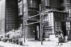 昭和の街並み(下町中通り裏)①