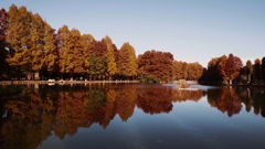 映りこむ逆さ紅葉⑥