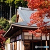 寶徳寺本堂と紅葉
