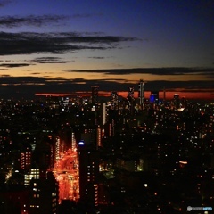 TOKYO FANTASY NIGHT
