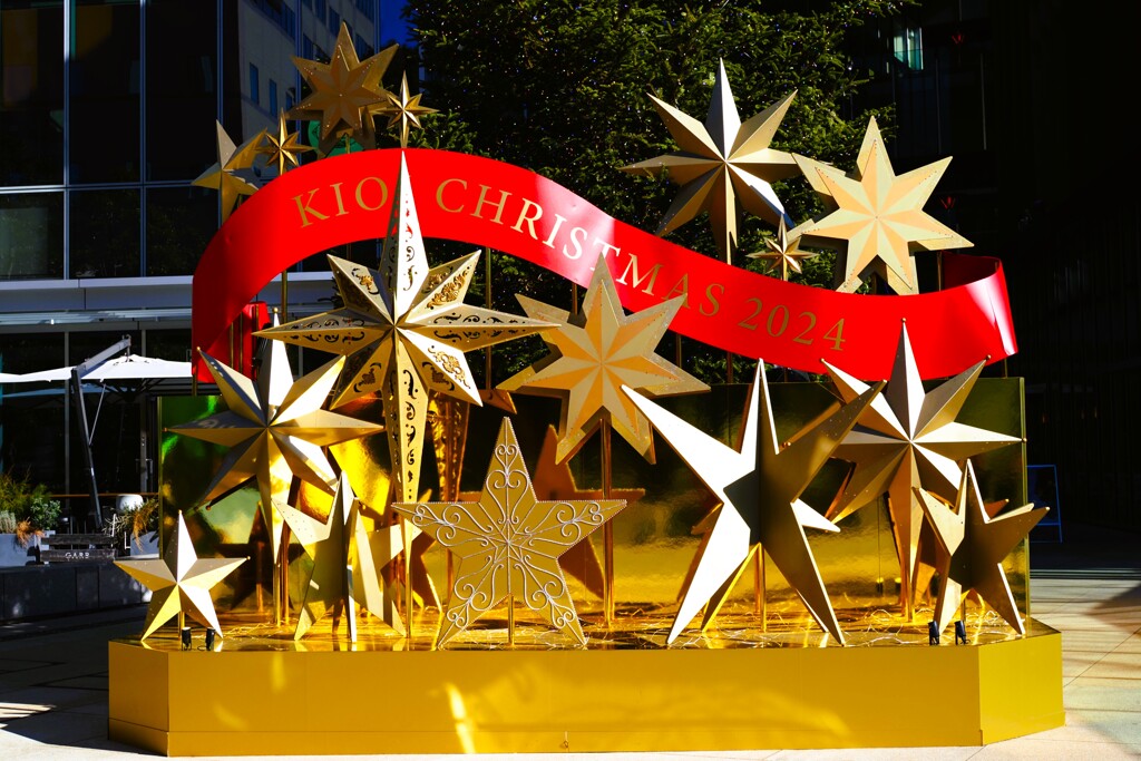 Merry christmas☆彡