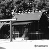 神聖な域②（フィルム編）