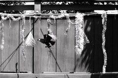 烏除け…？（フィルム）