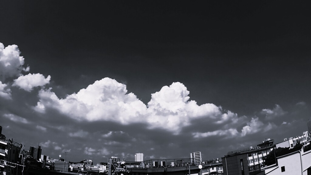 晩夏