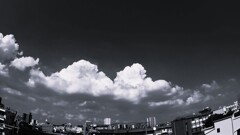晩夏