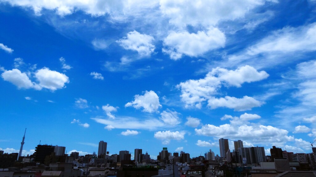 梅雨開け宣言