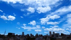 梅雨開け宣言