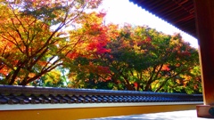 古刹の紅葉