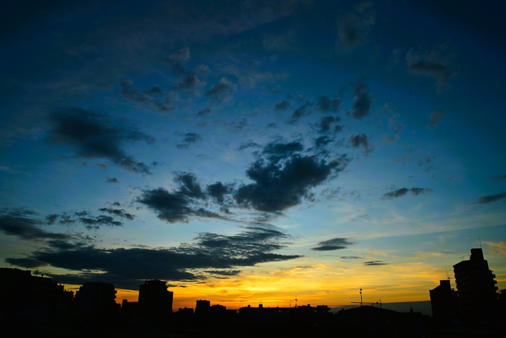 秋の夕暮れ『オールドレンズで撮ってみました。』