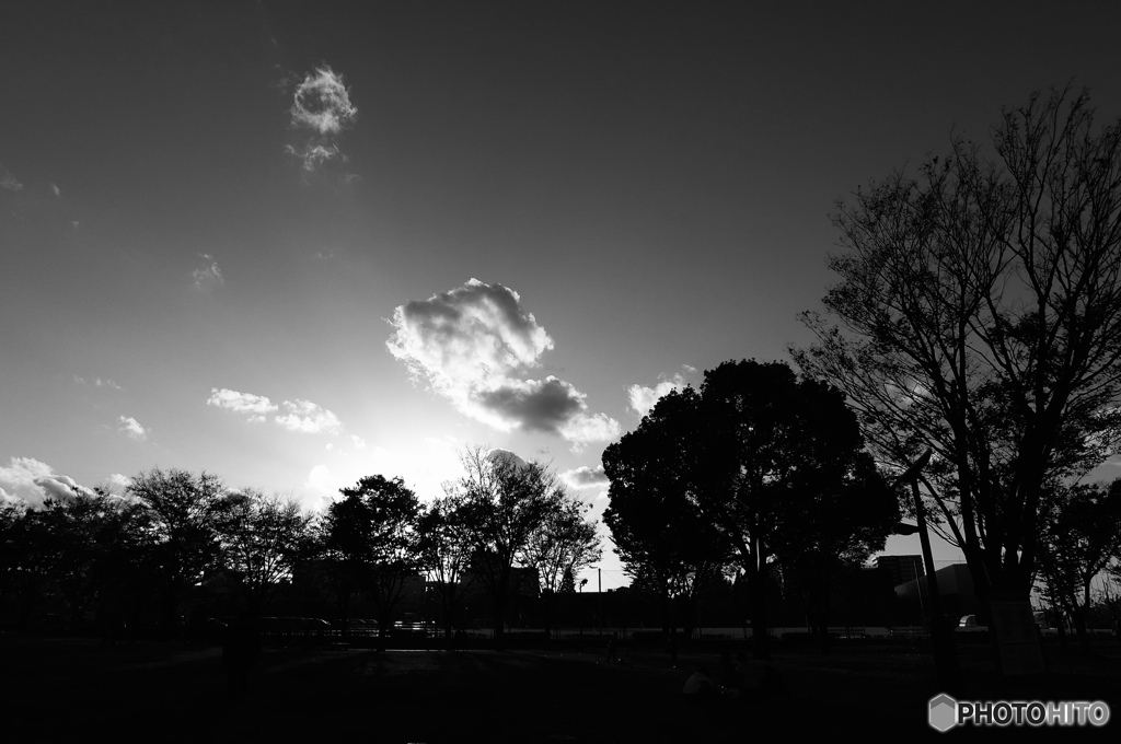 Early winter light