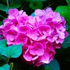 幸せを呼ぶ♡