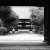 閑さ