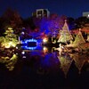 ｢光で彩る日本の心｣・SUMIDA光のナイトガーデン－心躍る光の情景②