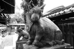 牛嶋神社　狛牛①