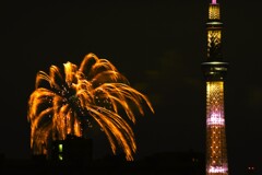夏の夜空に輝く②