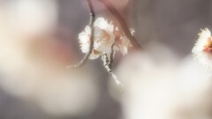 "暖"