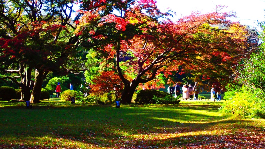 秋の庭園④-2(終)