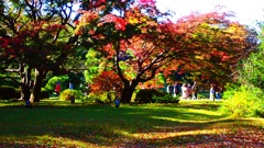 秋の庭園④-2(終) 秋の庭園④-2(終)