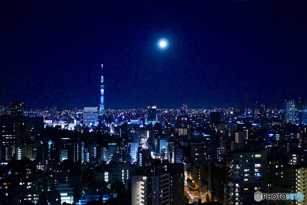 Blue Night