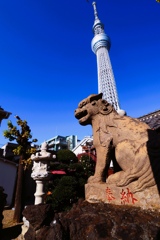 直下のパワースポット②