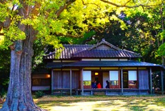 茶道体験