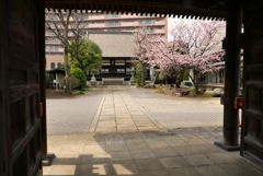 閑さ"春”
