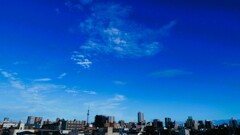 台風一過