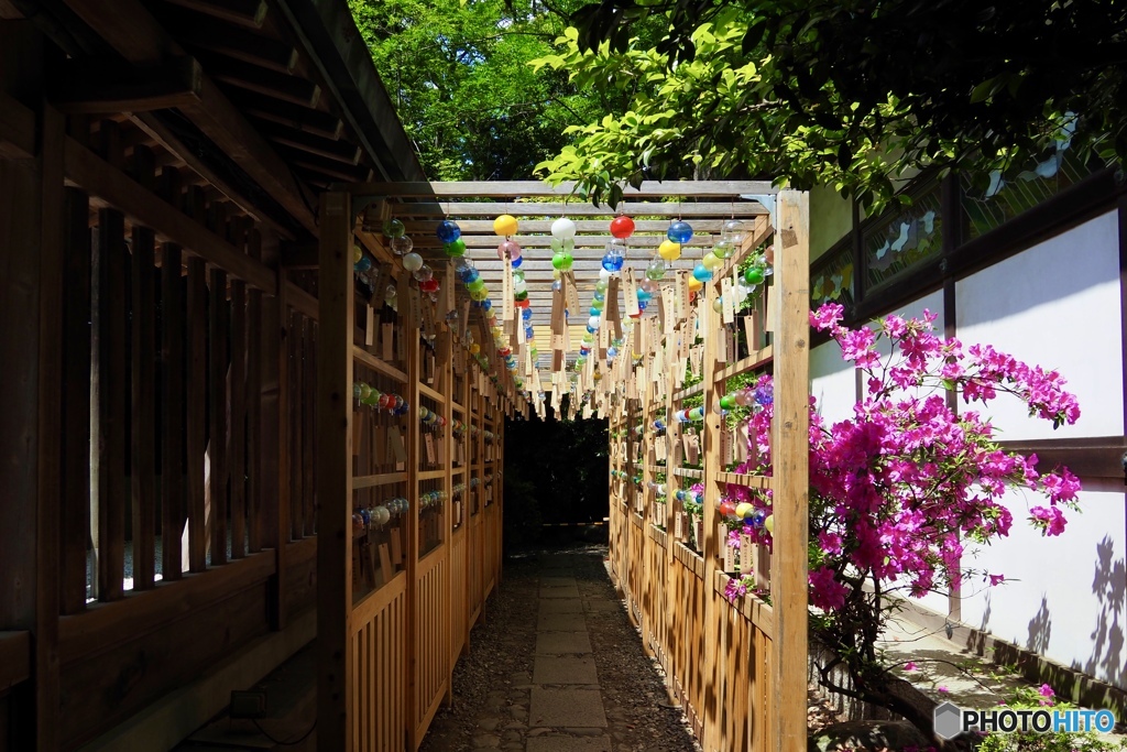 風薫る