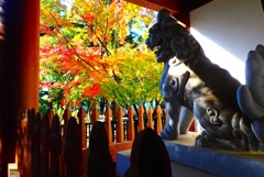 古刹の紅葉①