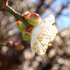 澄んだ心②